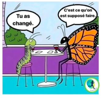 transformation